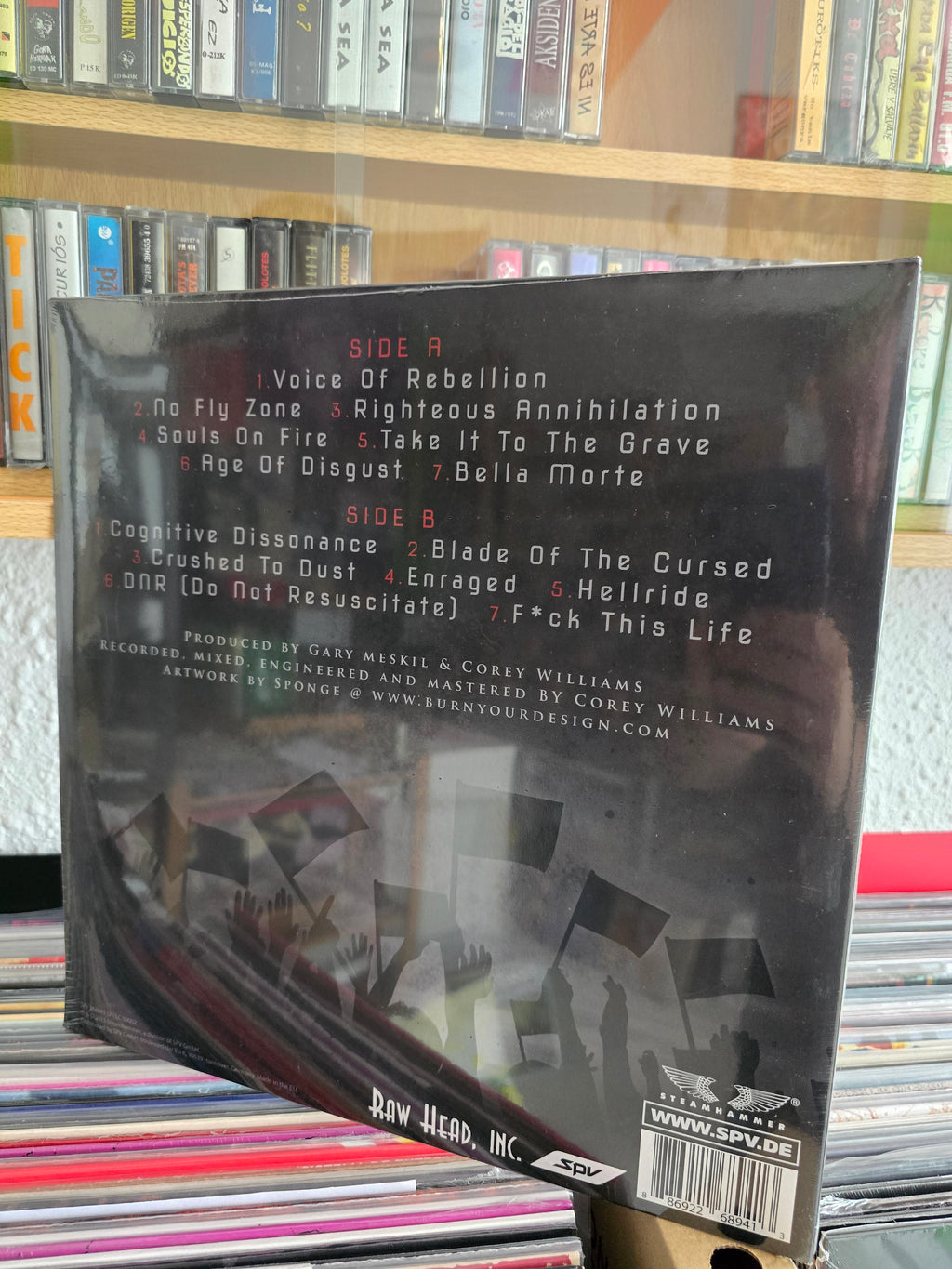PRO-PAIN "VOICE OF REBELLION"
