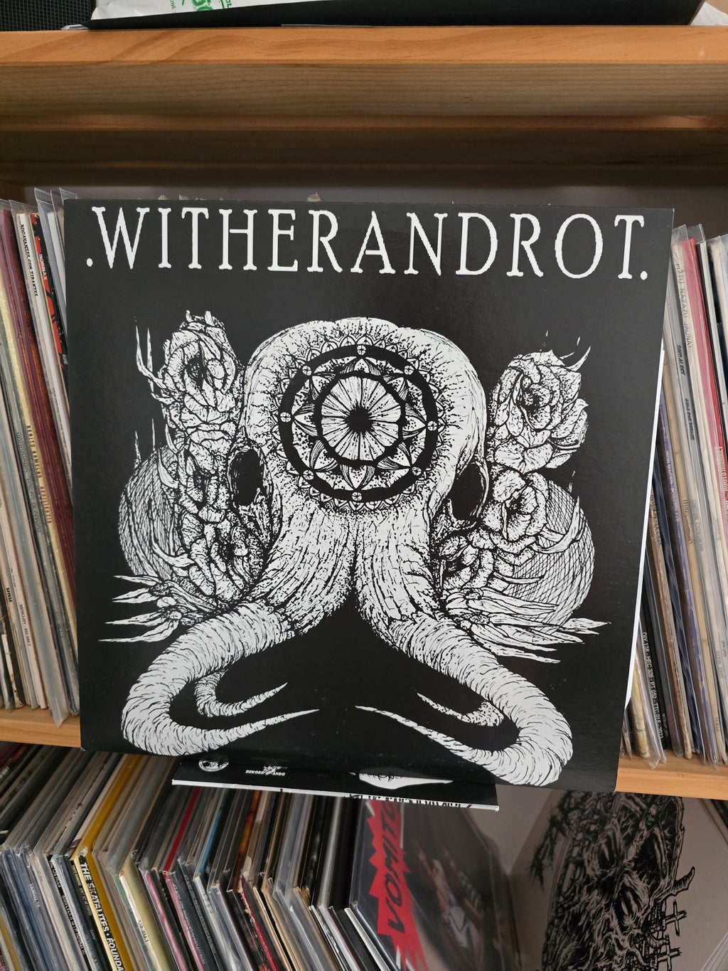 WITHERANDROT/RECIKLAJE "SPLIT"