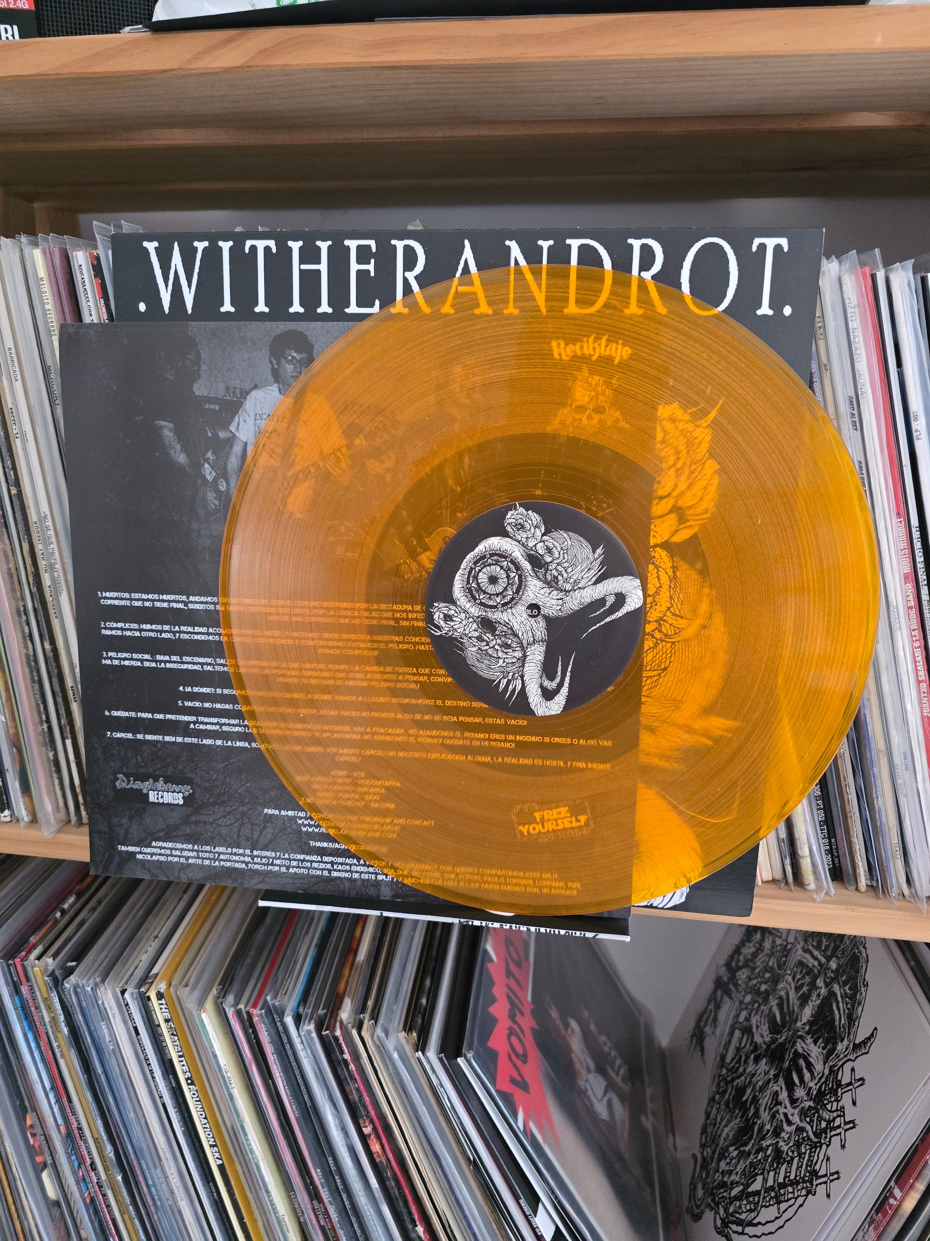 WITHERANDROT/RECIKLAJE "SPLIT"